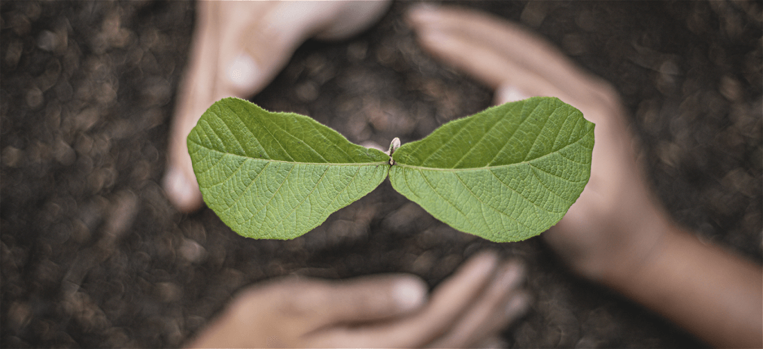 Dirt Matters Why Soil is the Key to Humanity’s