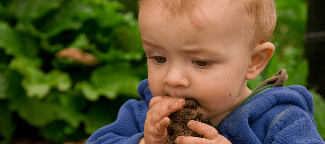 Dirty Dining: The Latest TikTok Trend That’ll Have You Saying “Ground Control to Major Yum!”